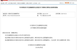青岛同志聊天室,畅享同城交流新空间
