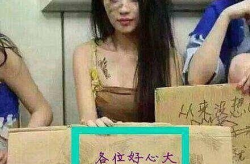 吃瓜娱乐小姐姐是谁啊,网络红人的崛起之路