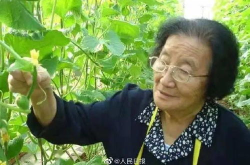 娱乐吃瓜酱不叠被子,揭秘明星不叠被子的秘密生活