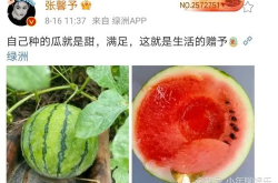 最近最火的娱乐圈吃瓜,揭秘明星背后的惊人真相！