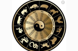 生肖配对指数,探寻最佳伴侣的神秘法则
